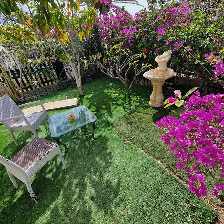 Villa Habibi Luxury 5b *